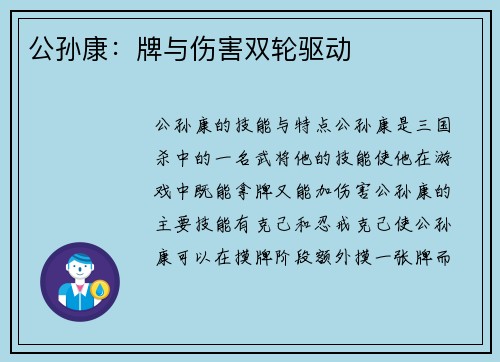 公孙康：牌与伤害双轮驱动